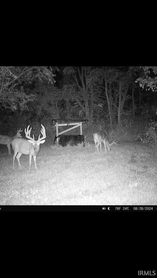 5365 Holtsclaw Road Milton, IN 47357 - Photo 5 of 35
