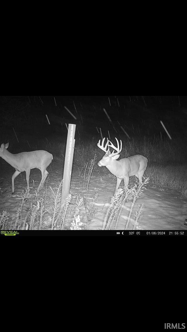 5365 Holtsclaw Road Milton, IN 47357 - Photo 6 of 35