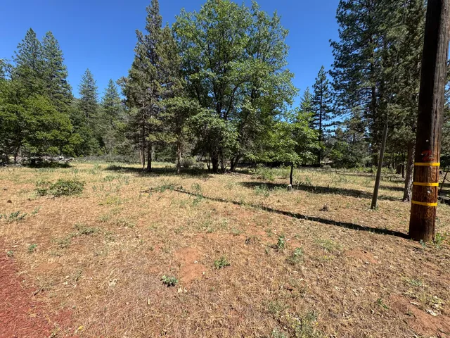 a view of a yard with trees