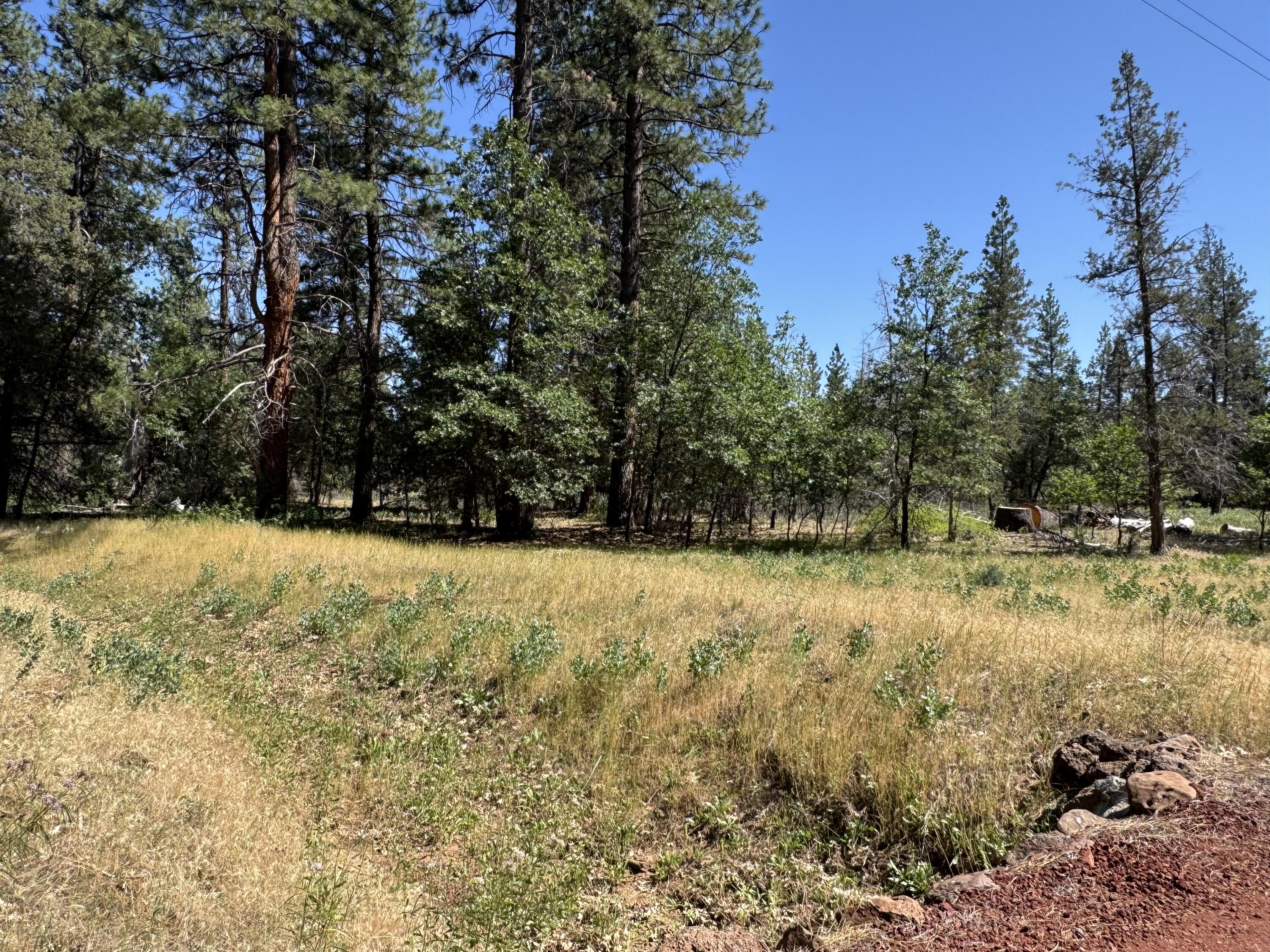Xxx Old Brown Ranch Road McArthur, CA 96056 - Photo 11 of 12 a view of swimming pool with trees