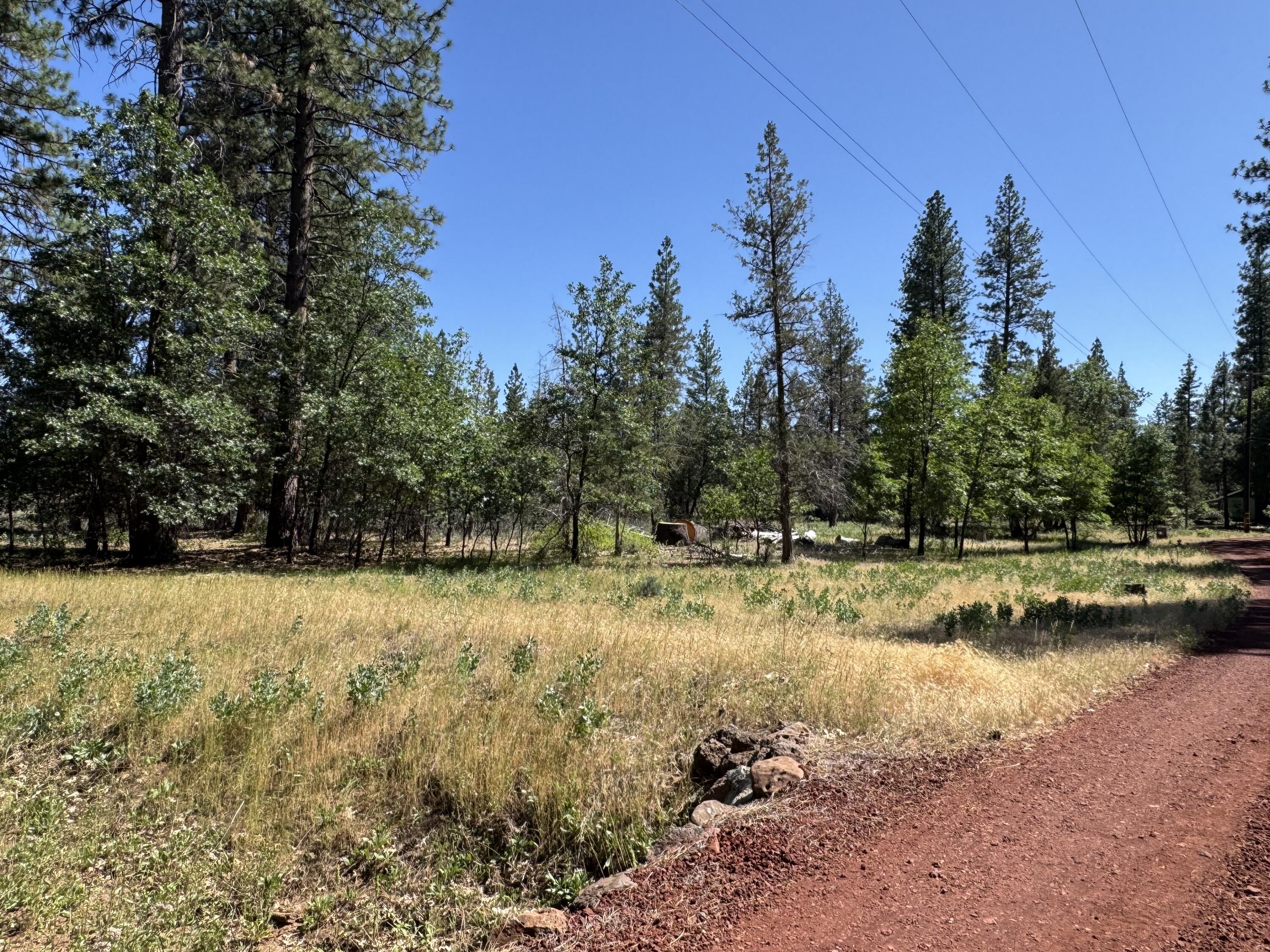 Xxx Old Brown Ranch Road McArthur, CA 96056 - Photo 12 of 12 a view of yard with trees