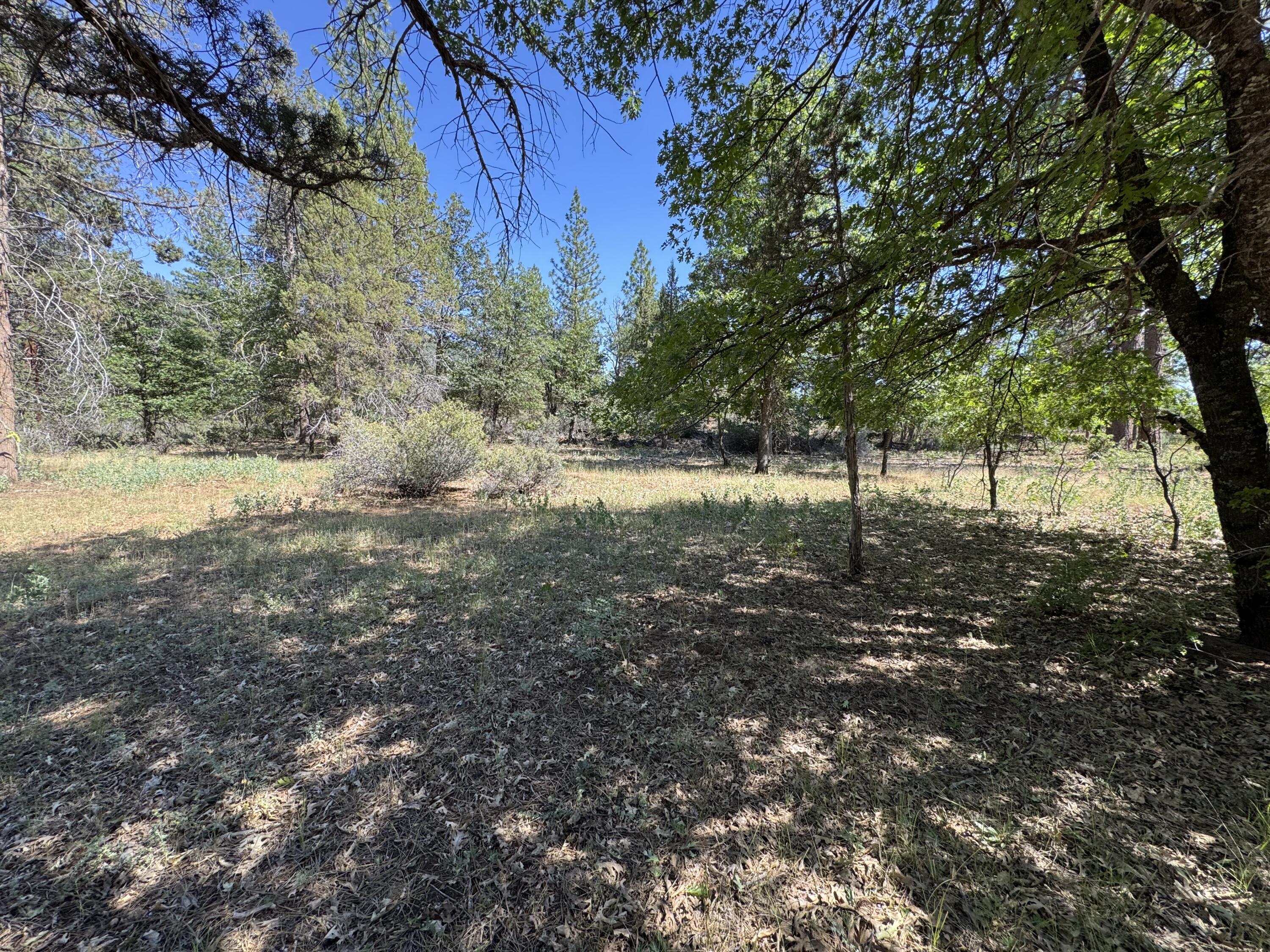 Xxx Old Brown Ranch Road McArthur, CA 96056 - Photo 2 of 12 a view of yard with trees