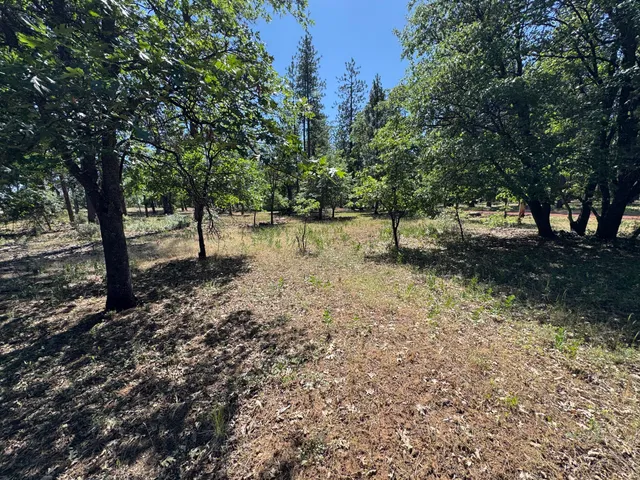 a view of a yard with a tree
