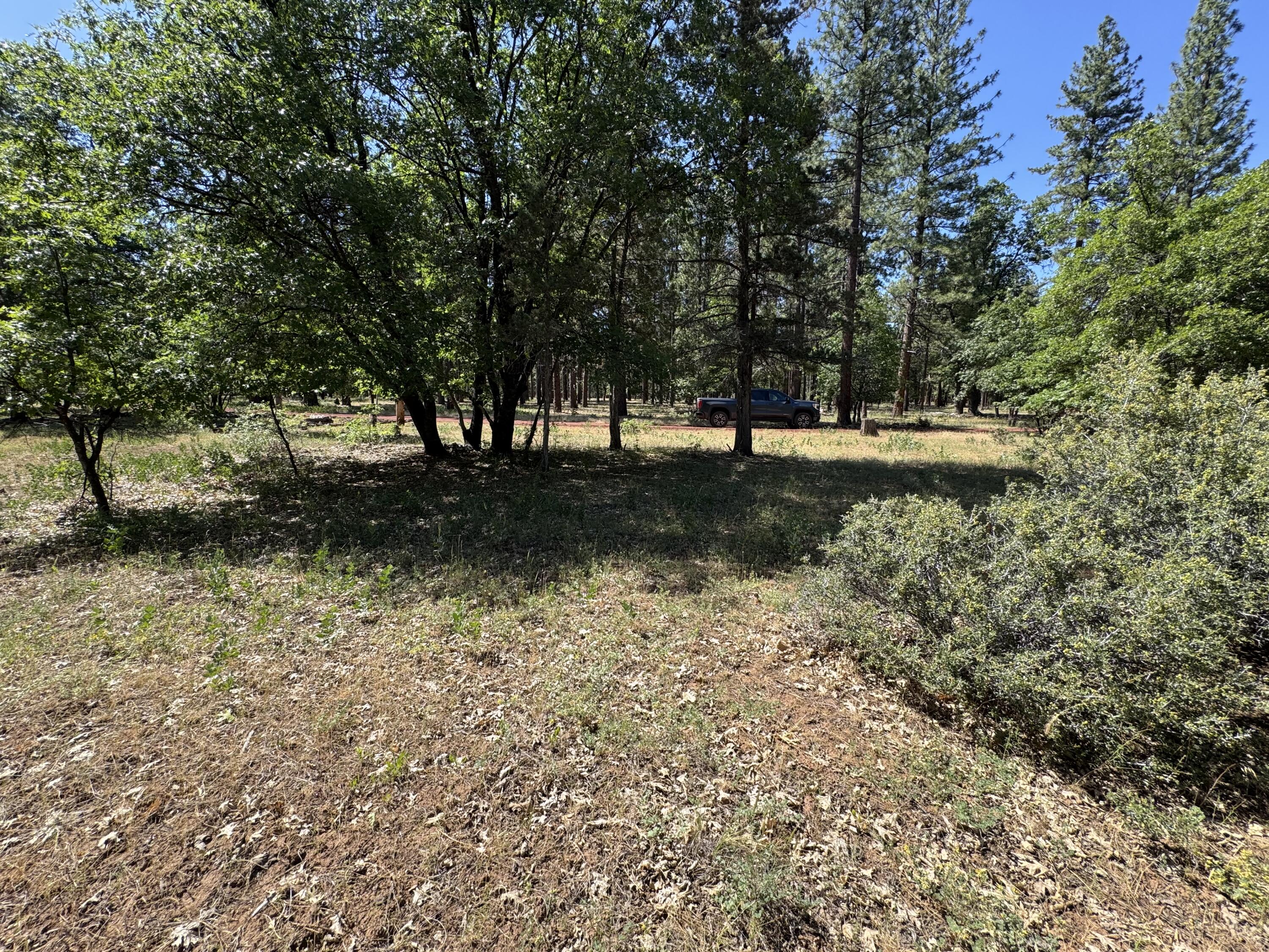 Xxx Old Brown Ranch Road McArthur, CA 96056 - Photo 9 of 12 a view of a yard with large trees