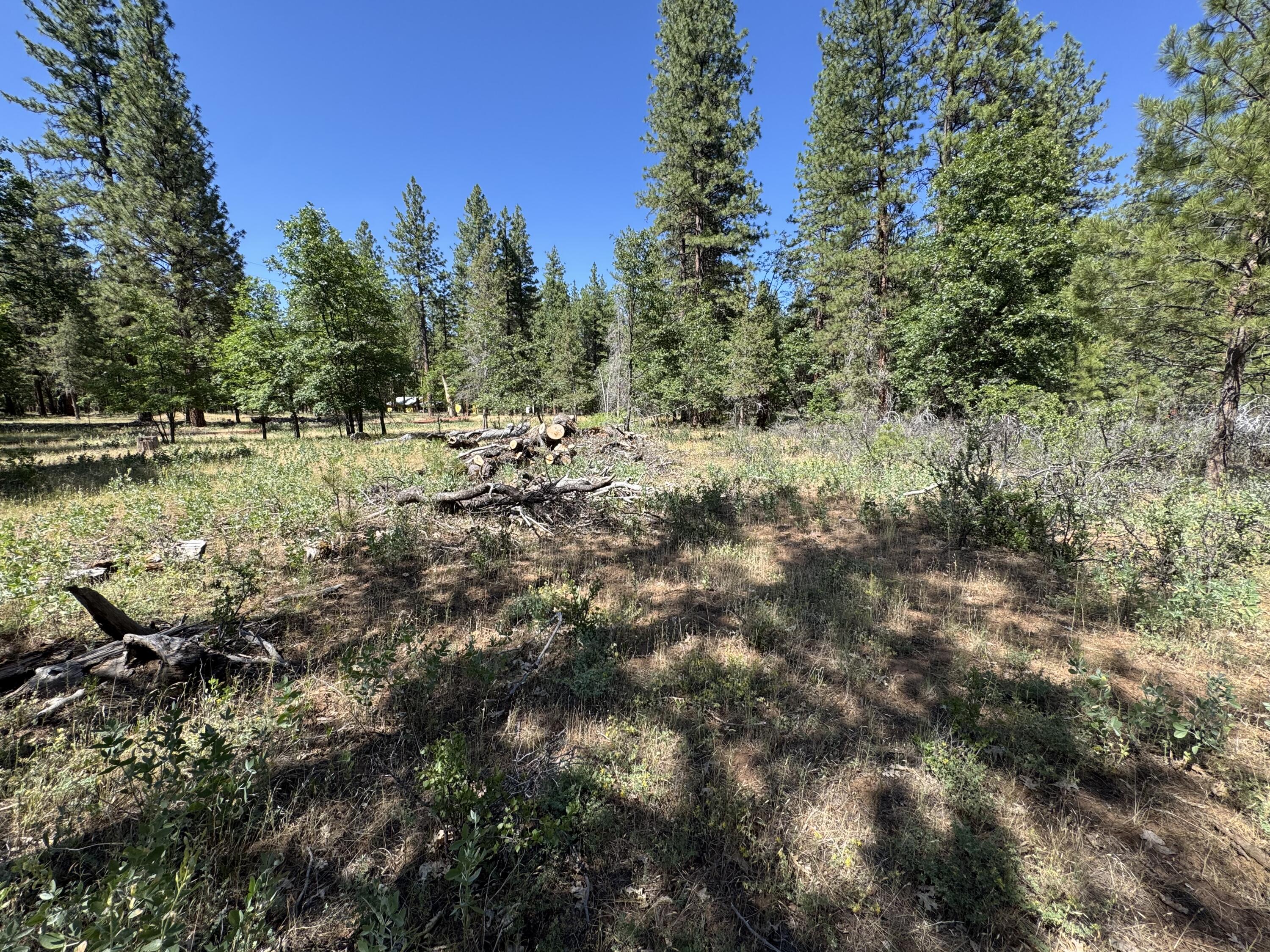 Xxx Old Brown Ranch Road McArthur, CA 96056 - Photo 10 of 12 a view of a lake with houses