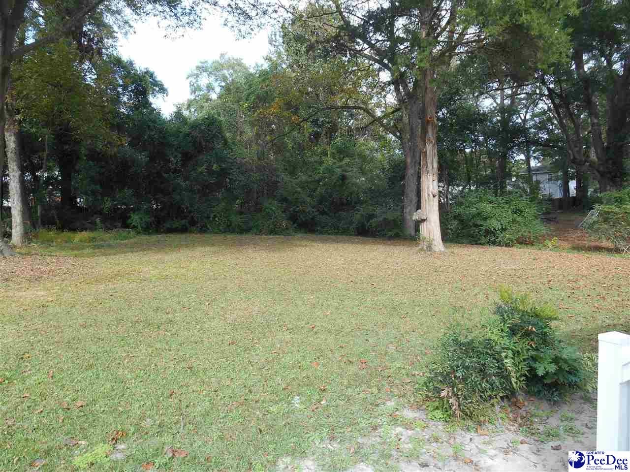 1003 Chestnut Street Florence, SC 29501 - Photo 22 of 27 Gallery Image 22