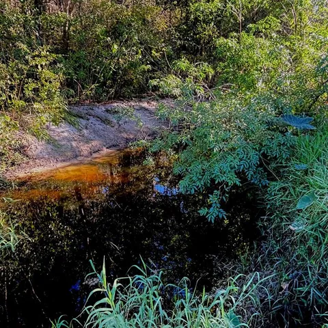 $335,000 | 149 East McCormick Road, East Palatka, FL 32131