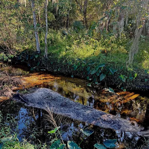 $335,000 | 149 East McCormick Road, East Palatka, FL 32131