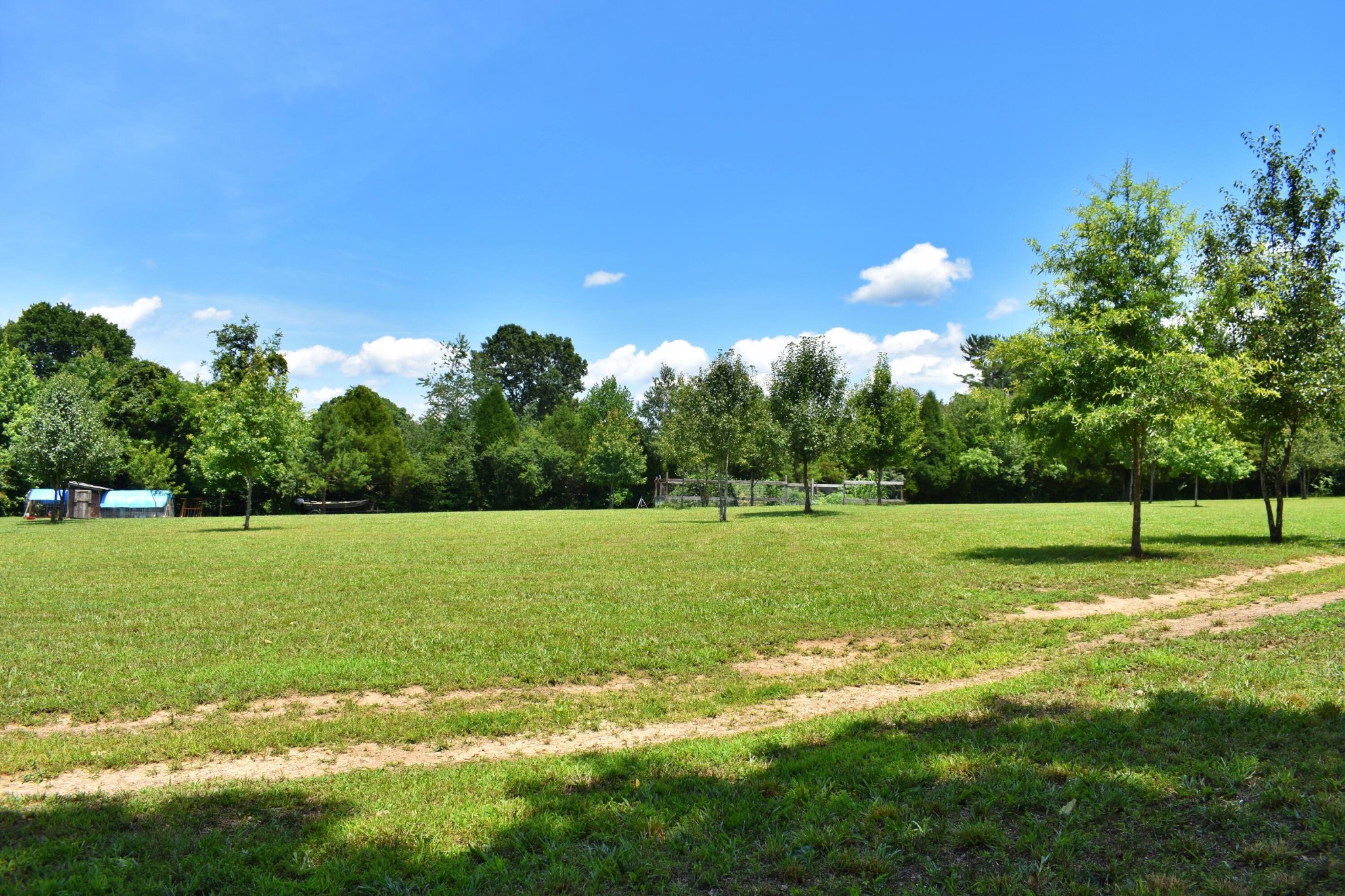 5858 Wolf Creek Road Spring City, TN 37381 - Photo 50 of 76