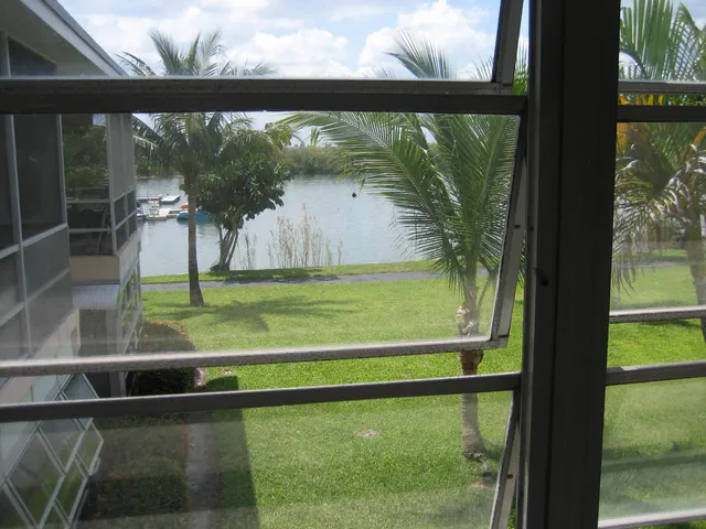 a view of backyard from window