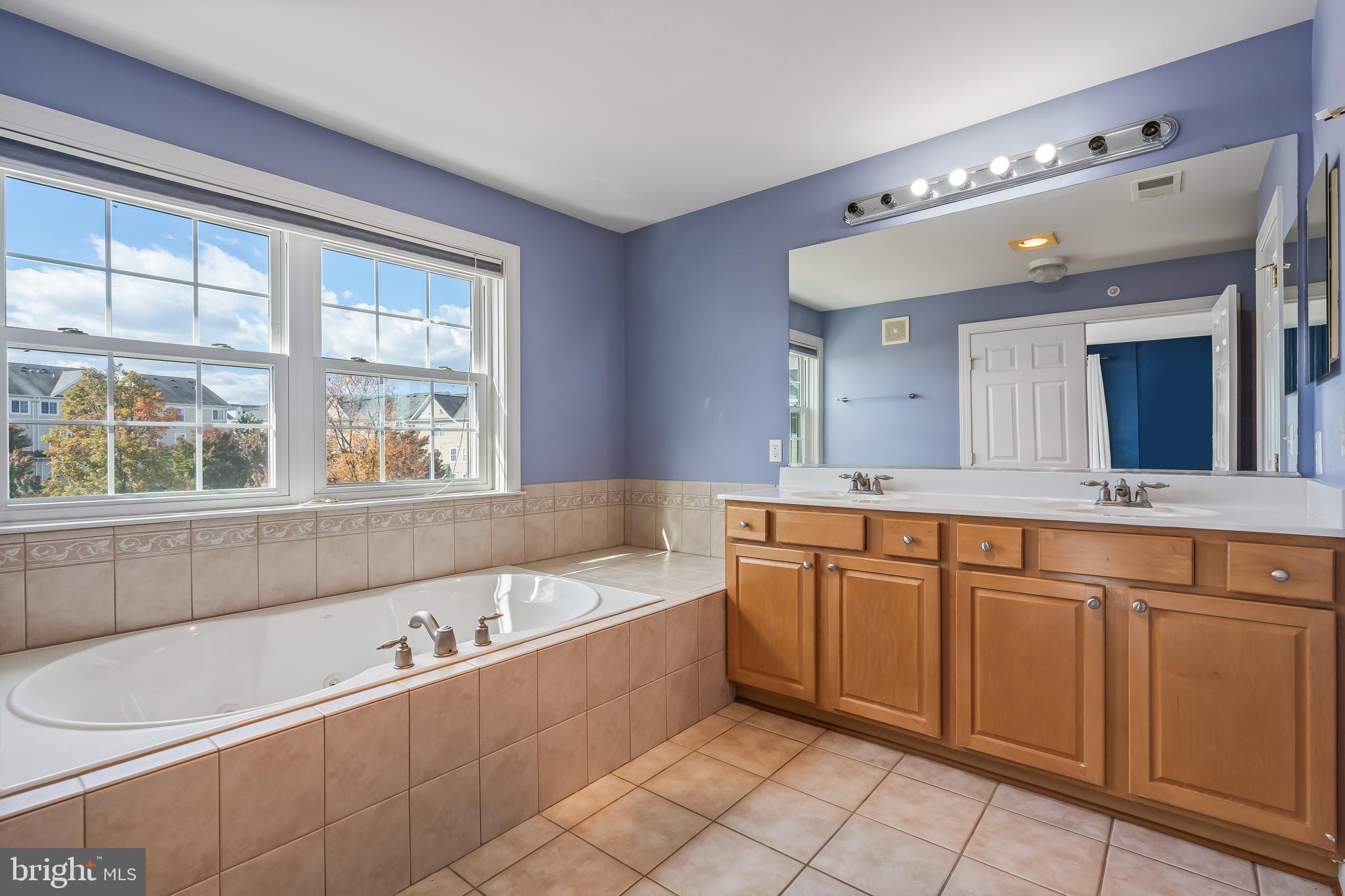 13600 Salk Street, Unit 131 Herndon, VA 20171 - Photo 25 of 34 a bathroom with a bathtub sink and mirror