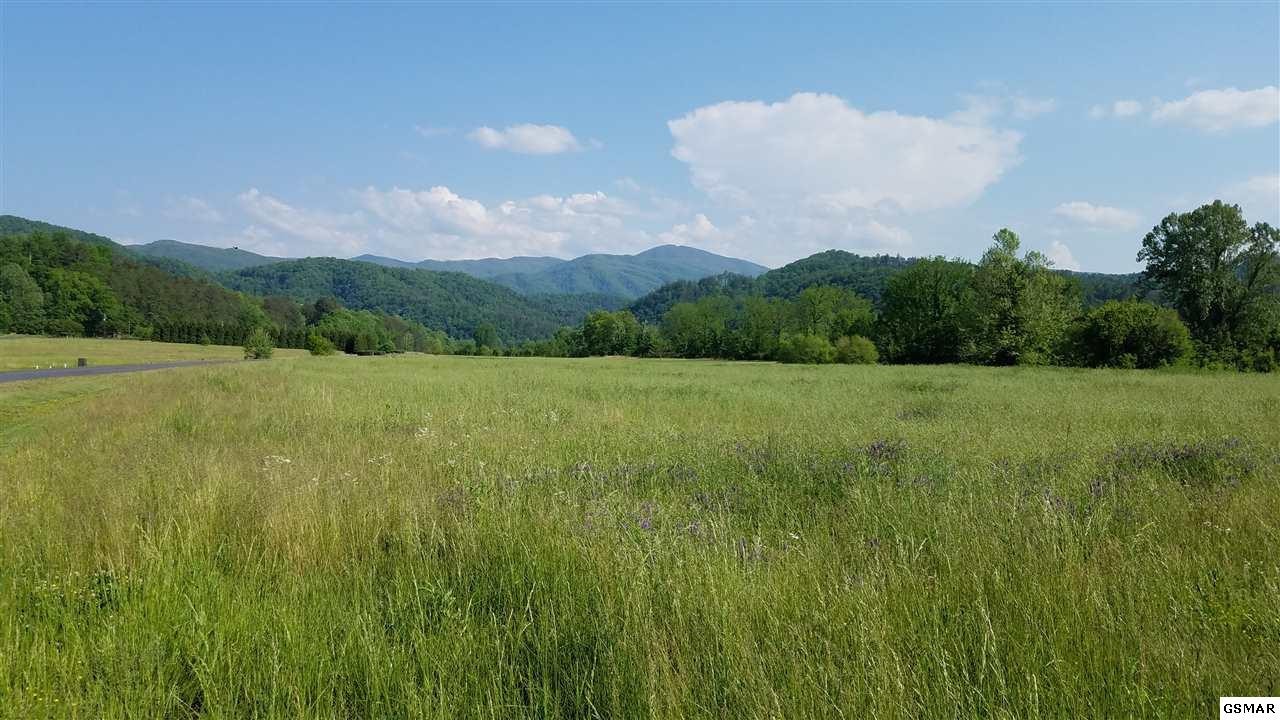 10 River Rpds Way Del Rio, TN 37727 - Photo 1 of 16 Gallery Image 1