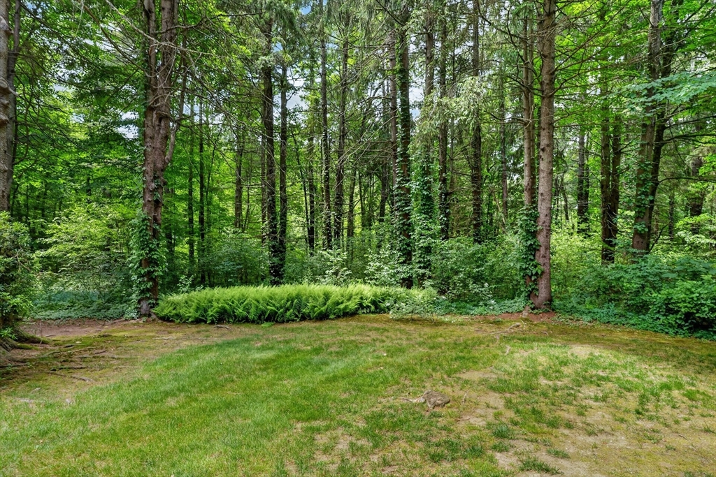 17 Maplewood Road Medfield, MA 02052 - Photo 40 of 41