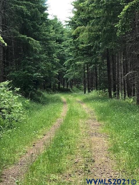 Cater (heights) Road Warren, OR 97053 - Photo 2 of 7 Gallery Image 2