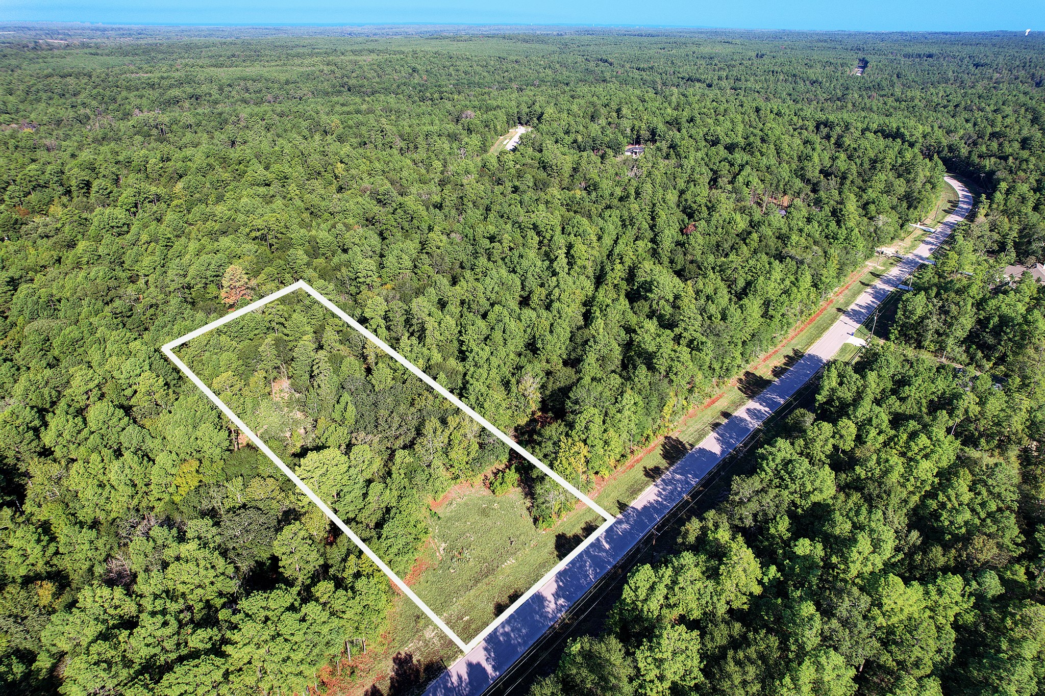 189 Rim Rock Road Huntsville, TX 77340 - Photo 2 of 13 a view of a yard with a lush green forest