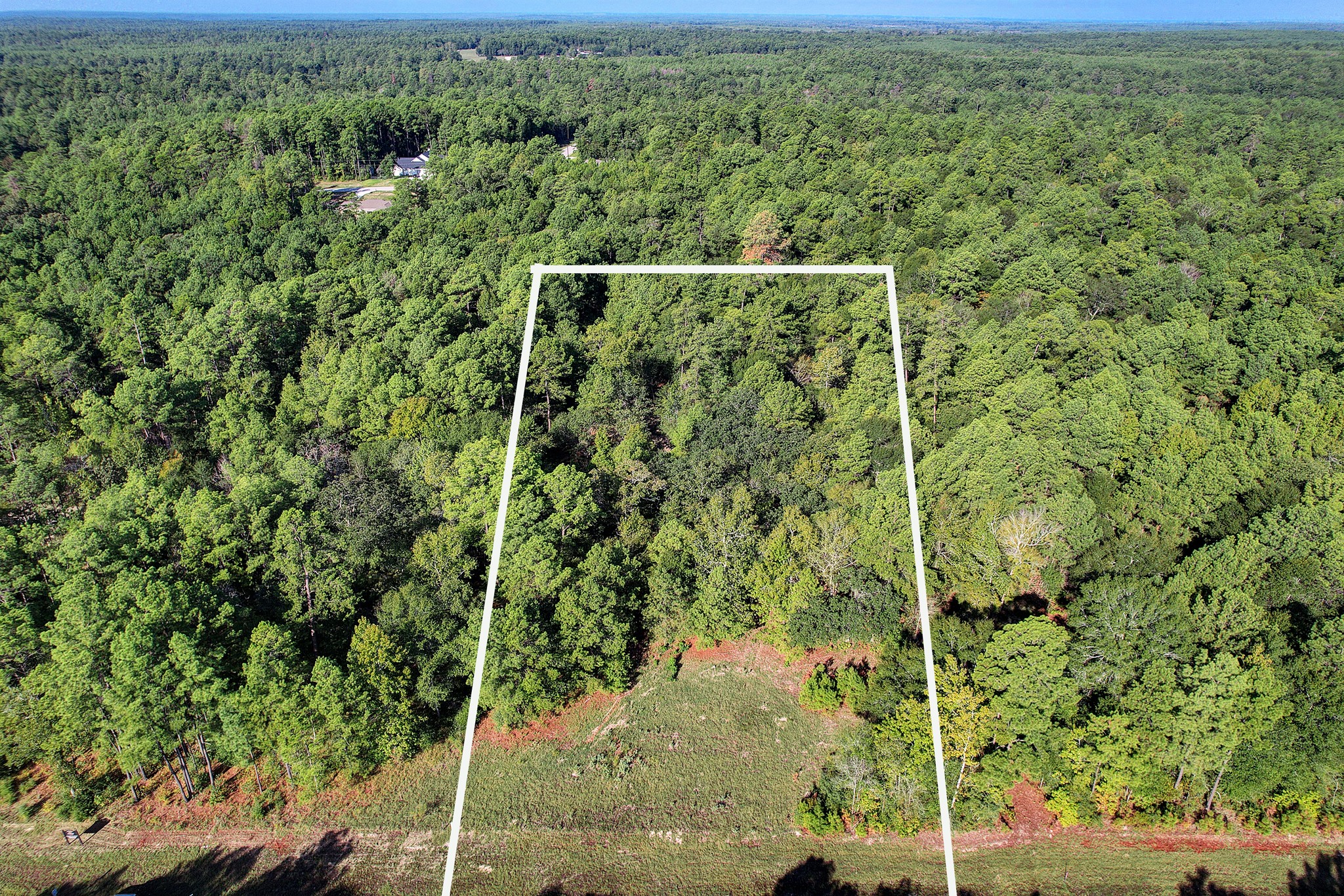 189 Rim Rock Road Huntsville, TX 77340 - Photo 3 of 13 a view of a forest