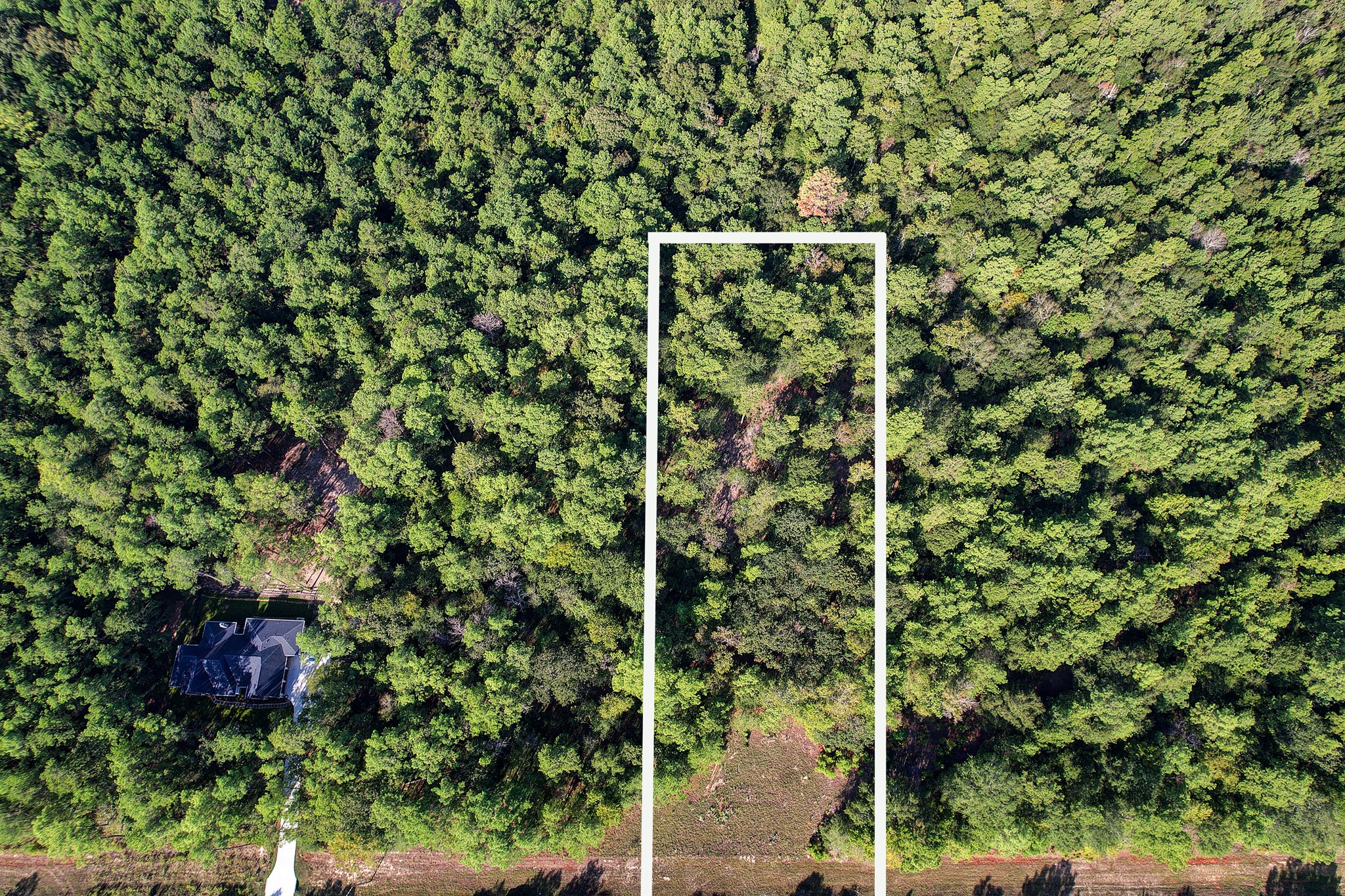 189 Rim Rock Road Huntsville, TX 77340 - Photo 4 of 13