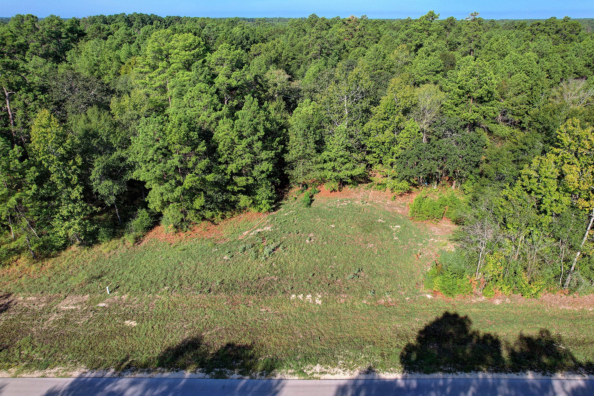 189 Rim Rock Road Huntsville, TX 77340 - Photo 6 of 13 a view of a yard