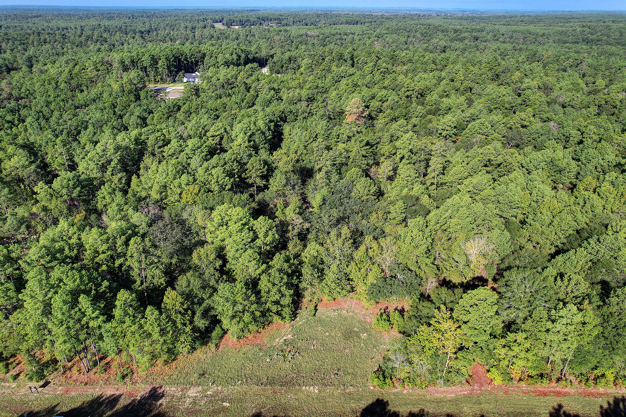 189 Rim Rock Road Huntsville, TX 77340 - Photo 7 of 13 a view of a yard with a plant