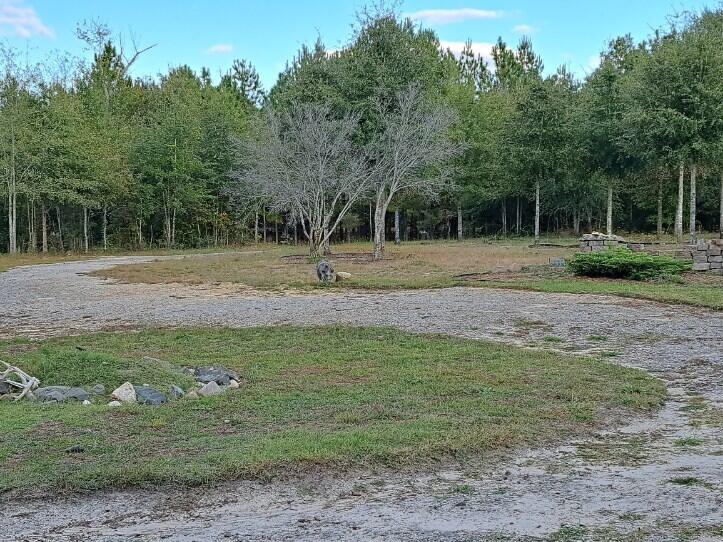 1888 Williston Road Aiken, SC 29803 - Photo 22 of 30 Gallery Image 22