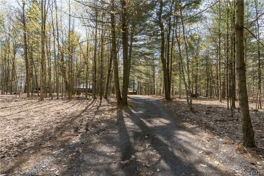 6325 South Chases Lake Road Greig, NY 13343 - Photo 29 of 29