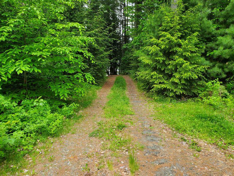 R7-l 4-6 North Pond Road Chesterville, ME 04938 - Photo 14 of 19 20190613_103441