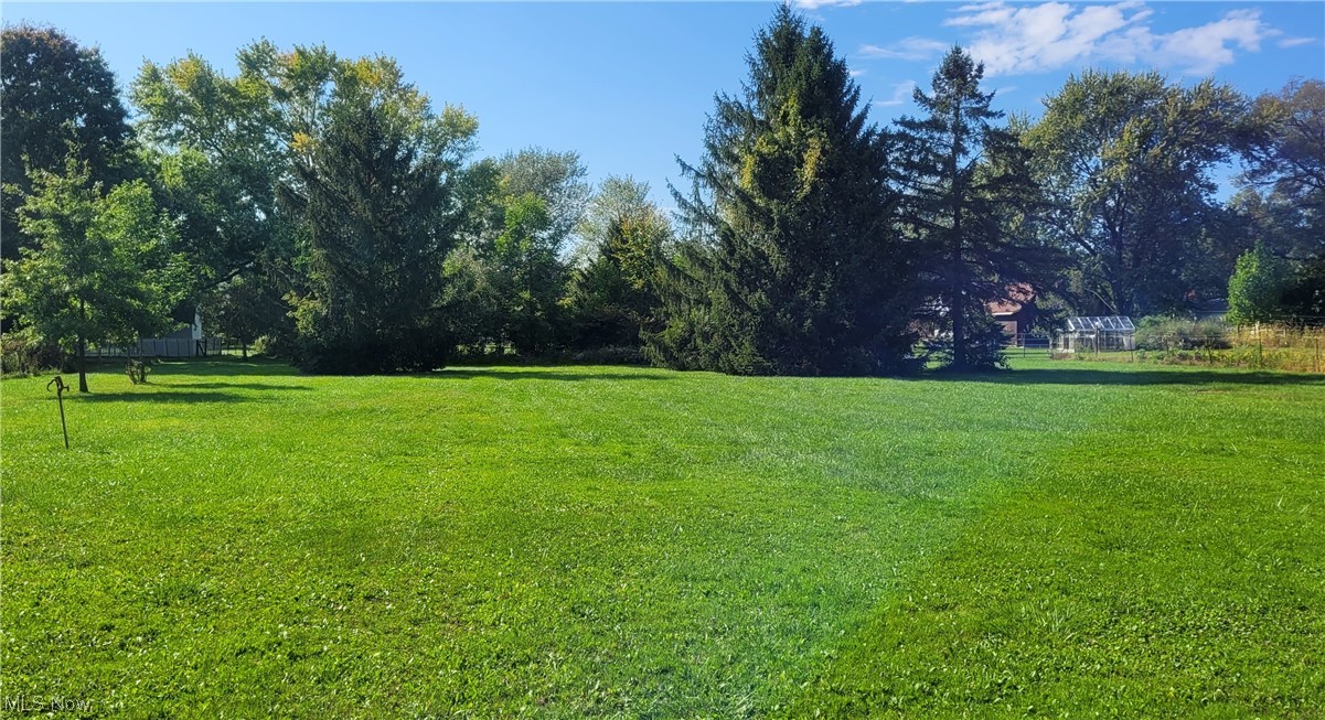 6015 Ford Road Elyria, OH 44035 - Photo 28 of 32 View of yard