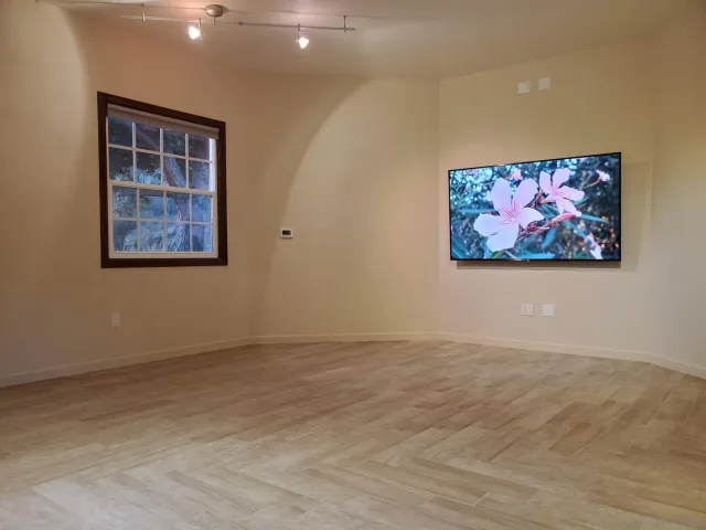 a close view of backyard