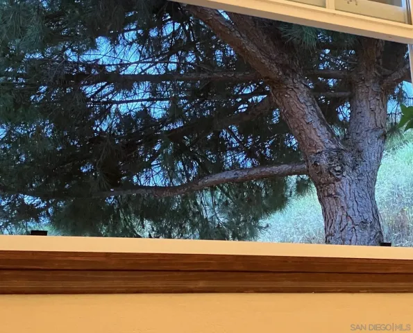 an empty room with a fireplace and window