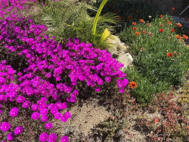 a view of a vase of flowers sitting on a table