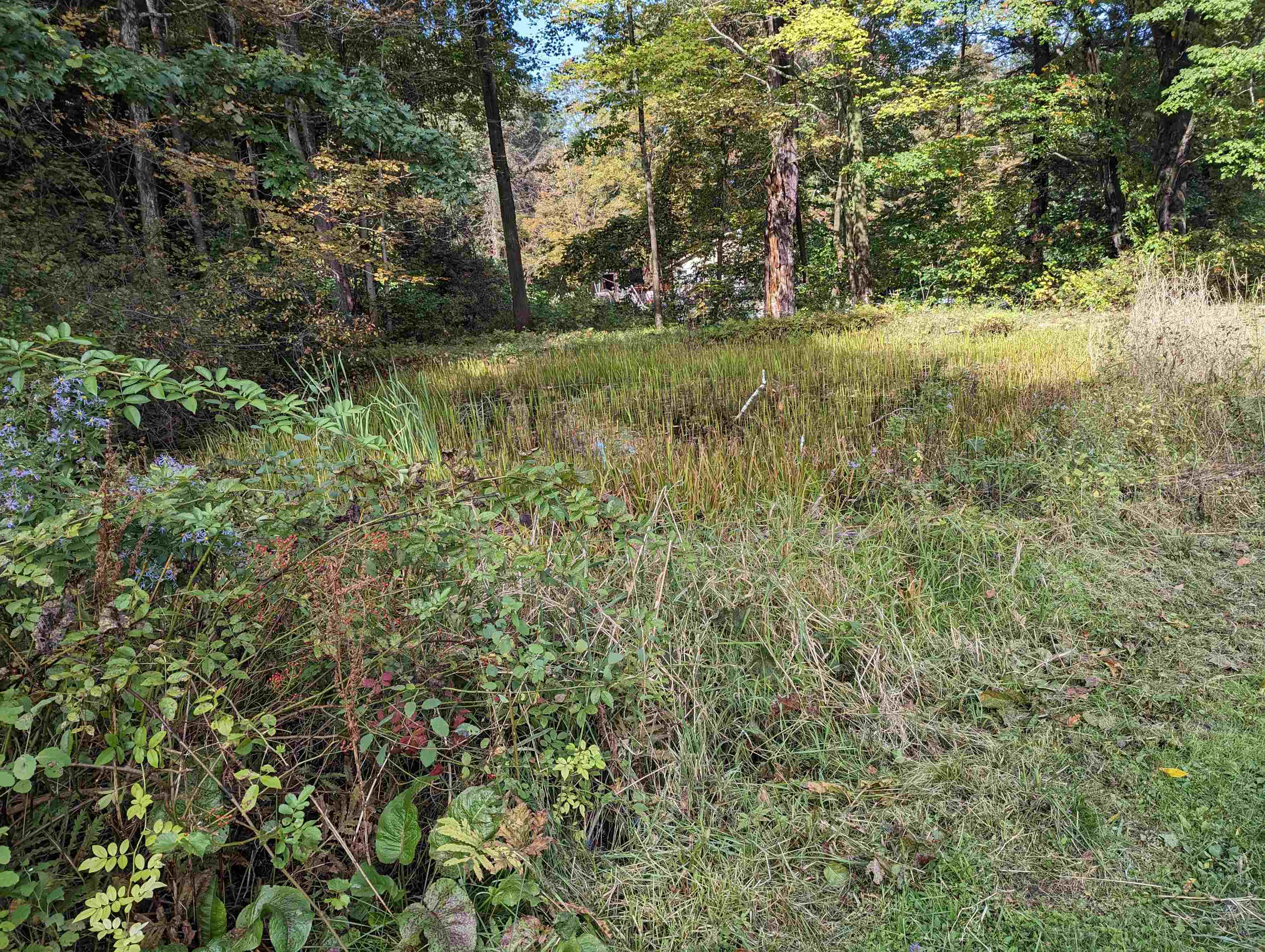 965 Highway 5 Westminster, VT 05346 - Photo 27 of 27