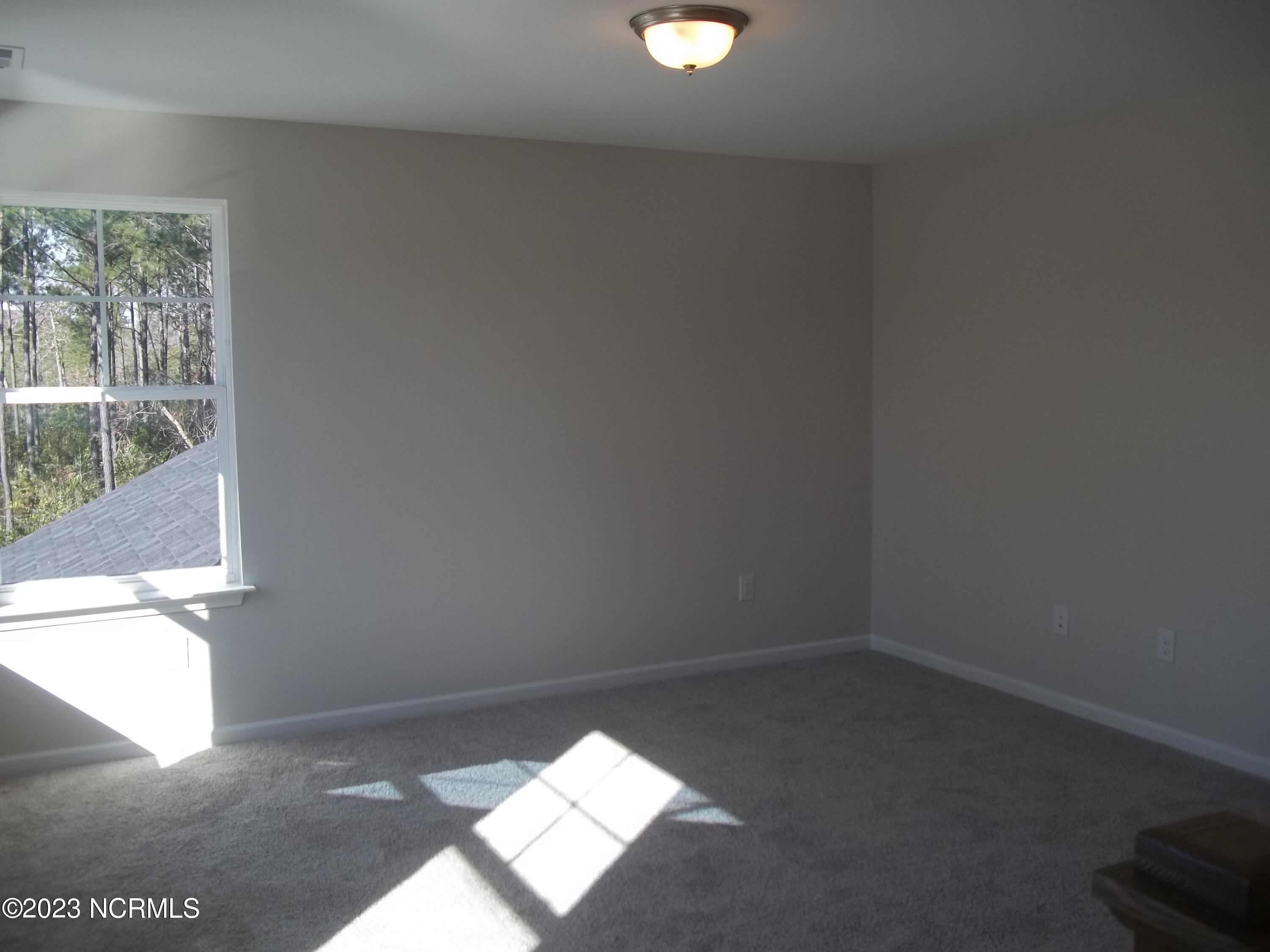 601 Trellis Road Hampstead, NC 28443 - Photo 17 of 36 100_4679