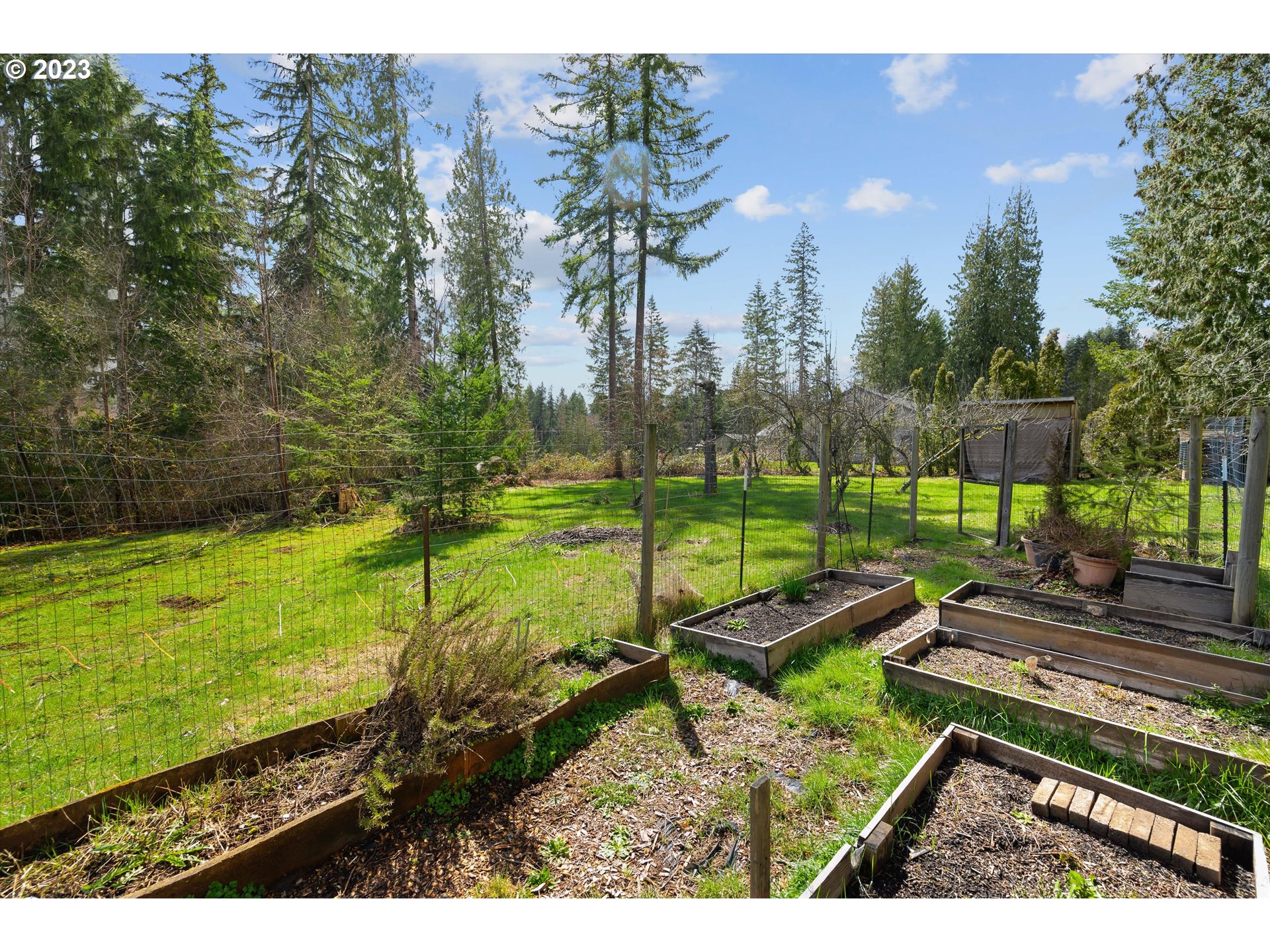 42264 Southeast Locksmith Lane Sandy, OR 97055 - Photo 30 of 36 a view of a park with large trees