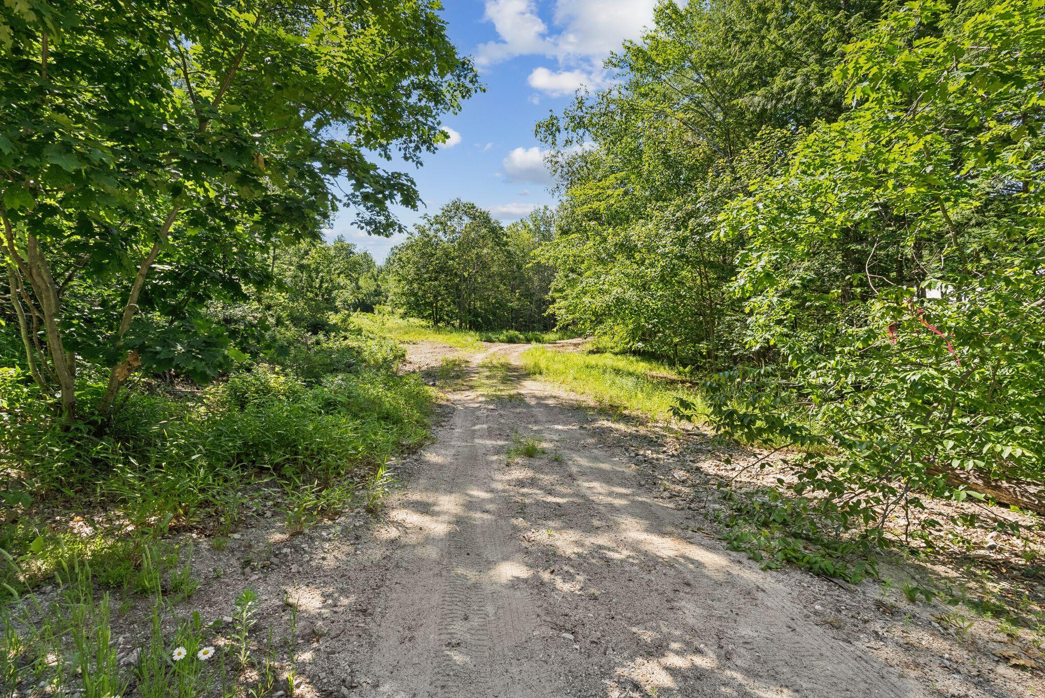 Lot 29 Saddleback Road West Baldwin, ME 04091 - Photo 4 of 14 deliverables_8jsxgLAWEjr9IynGQAK9_DSC024