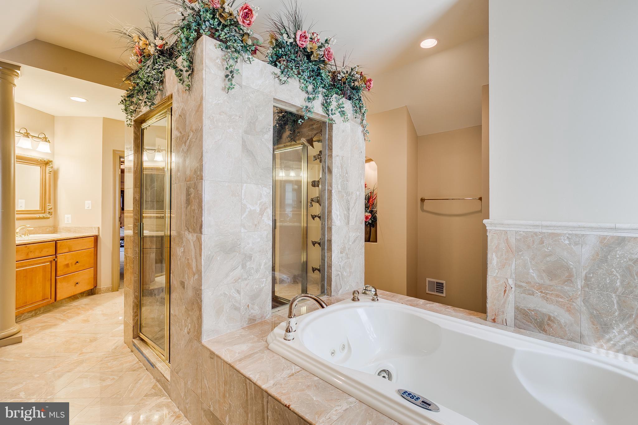 8299 Roxborough Loop Gainesville, VA 20155 - Photo 19 of 30 Bath (Master)