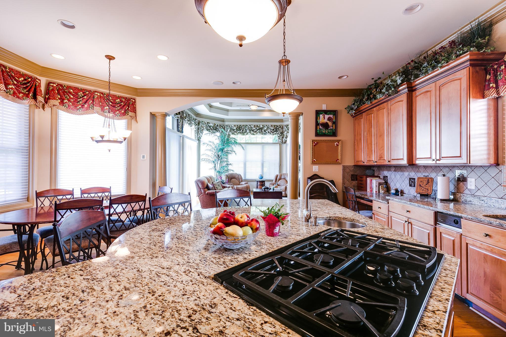 8299 Roxborough Loop Gainesville, VA 20155 - Photo 10 of 30 Kitchen