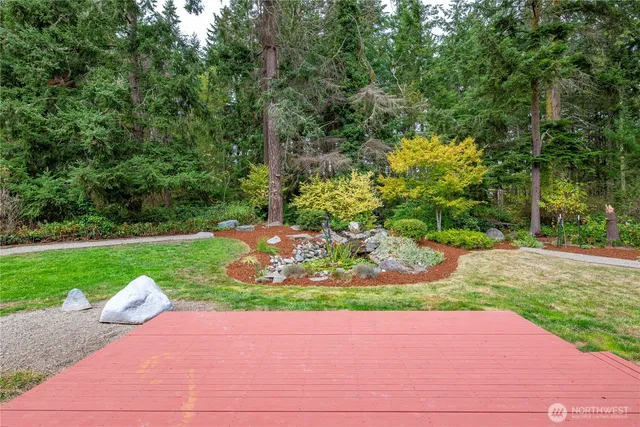 a view of a garden with plants