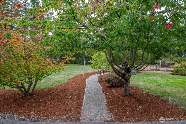 a view of a yard with plants and trees