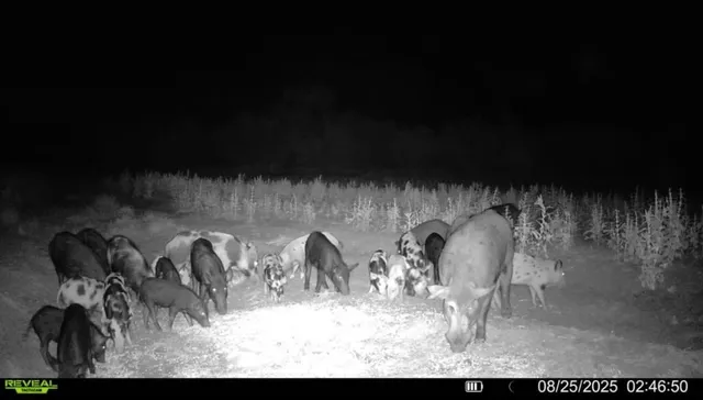 $682,000 | 1121 County Road 481, Alice, TX 78332