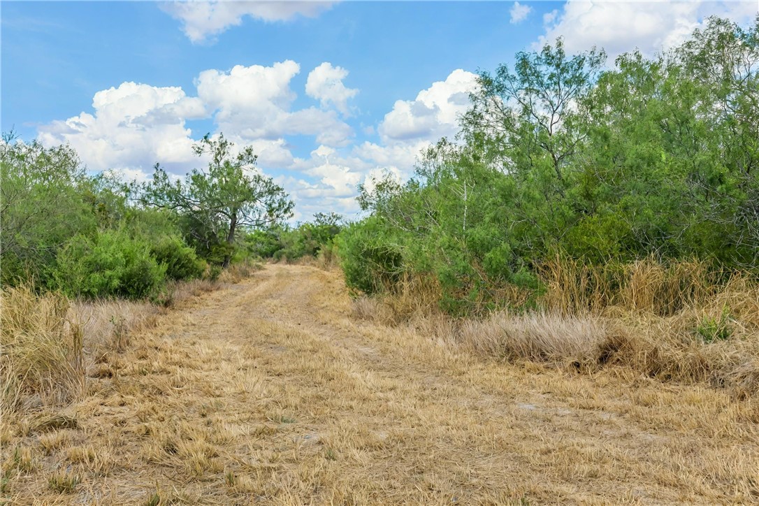 1121 County Road 481 Alice, TX 78332 - Photo 3 of 12 a view of a lake view