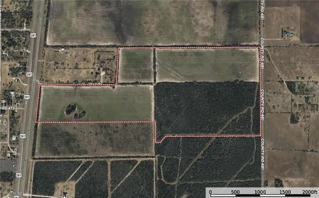 a view of a park with large trees