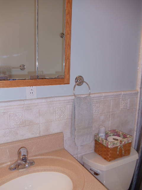1766 Glendon Road Salem, VA 24153 - Photo 17 of 37 Living Level Full Bath
