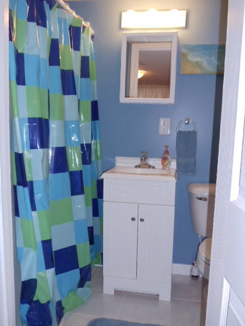 1766 Glendon Road Salem, VA 24153 - Photo 30 of 37 Lower Level Full Bath