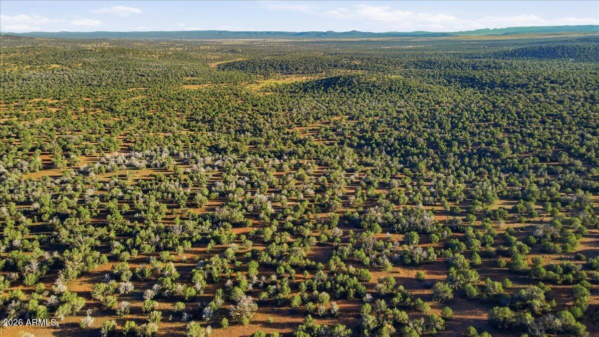8602 North Ten Tanks Road, Unit 157 Williams, AZ 86046 - Photo 3 of 5 10-Aerial