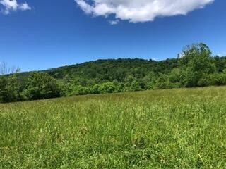 1395 Ward Road Decatur, TN 37322 - Photo 2 of 5