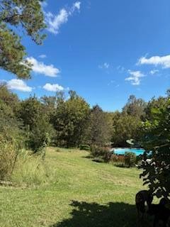 1395 Ward Road Decatur, TN 37322 - Photo 4 of 5