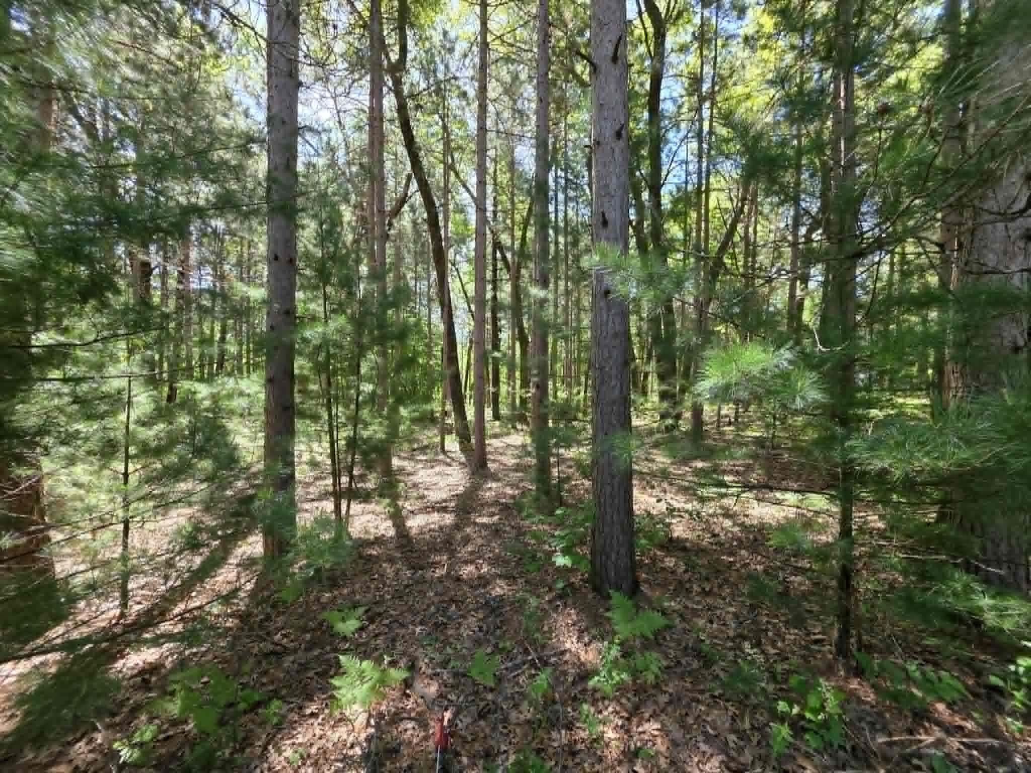 Lot 4 Czech Friendship, WI 53934 - Photo 6 of 7
