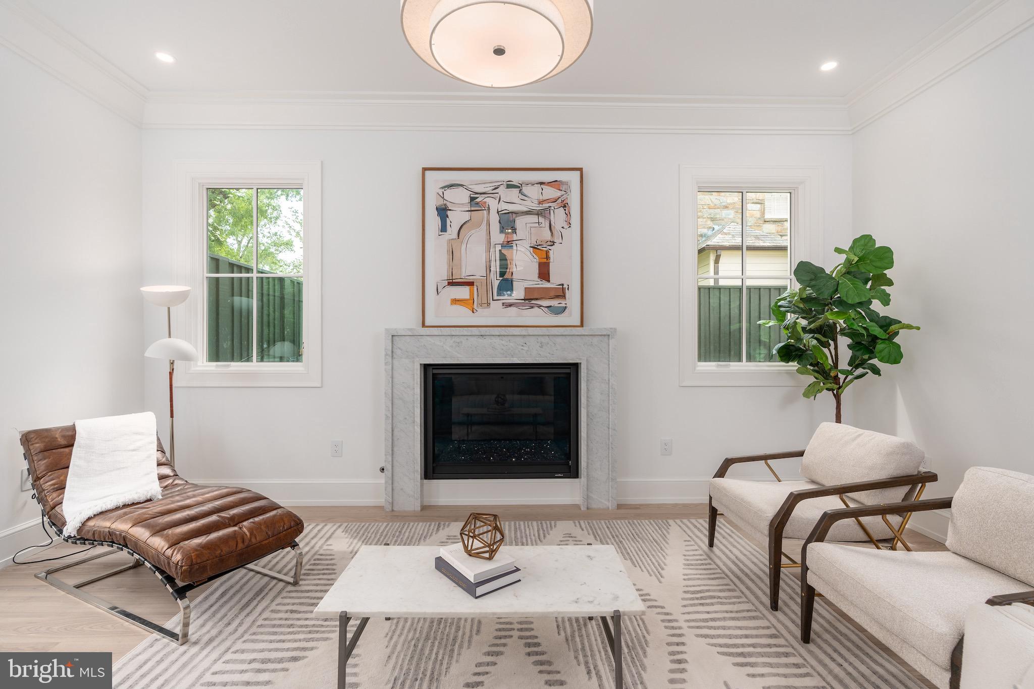 4821 Rodman Street Northwest Washington, DC 20016 - Photo 8 of 52 a living room with furniture a potted plant and a fireplace