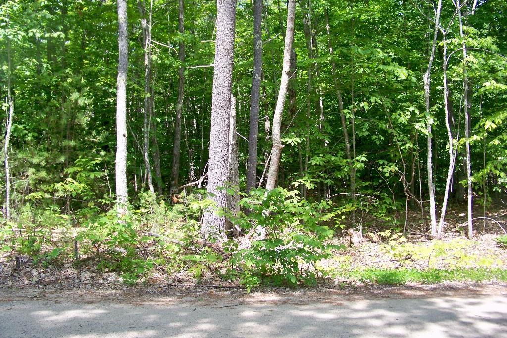 Lot 19 Mann Road Acton, ME 04001 - Photo 1 of 3 Photo