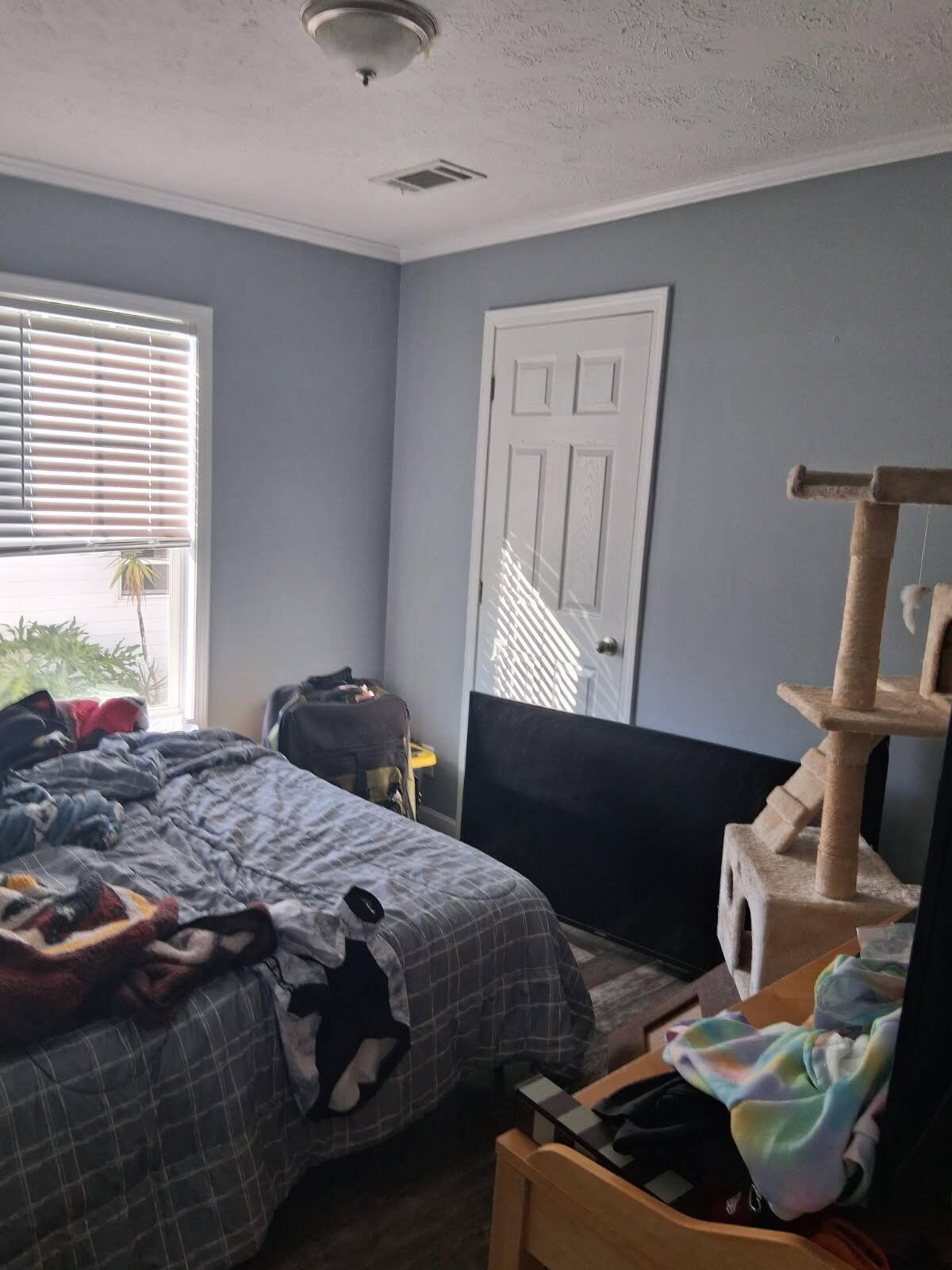 356 Mockingbird Avenue Fort Pierce, FL 34982 - Photo 8 of 12 IMG_20260409_055948